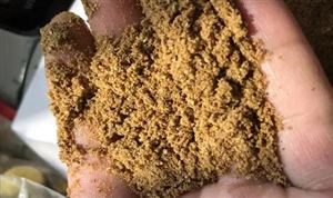 生物飼料行業(yè)市場調研 生物飼料行業(yè)發(fā)展前景預測