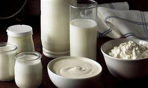 驢奶行業(yè)市場調(diào)研 驢奶行業(yè)前景展望