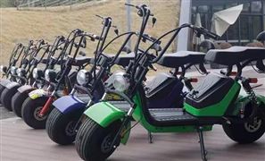 電動(dòng)自行車行業(yè)市場(chǎng)調(diào)研 電動(dòng)自行車行業(yè)前瞻分析