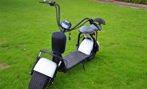 電動兩輪車行業(yè)市場調(diào)研 消費升級、個性化需求促進(jìn)兩輪電動車高品質(zhì)發(fā)展