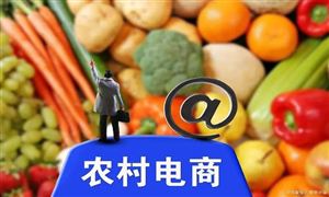 2022年農村電商行業(yè)發(fā)展前景及市場規(guī)模調研分析