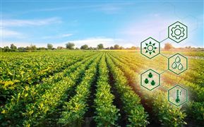 2022智慧農(nóng)業(yè)產(chǎn)業(yè)政府發(fā)展方向與未來趨勢