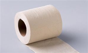 生活用紙行業(yè)市場調(diào)研 生活用紙行業(yè)前景預(yù)測
