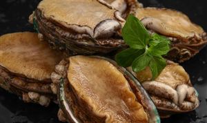 鮑魚養(yǎng)殖行業(yè)市場調研 鮑魚養(yǎng)殖業(yè)未來發(fā)展前景