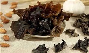 中國黑木耳行業(yè)深度調研及投資前景
