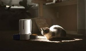 寵物電器行業(yè)發(fā)展數(shù)據(jù)調(diào)查 寵物電器行業(yè)前景及市場發(fā)展趨勢分析