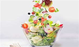 2022素食食品行業(yè)市場(chǎng)調(diào)研及行業(yè)發(fā)展趨勢(shì)分析