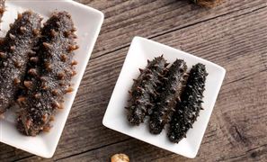 中國海參行業(yè)市場調(diào)研及競爭格局分析