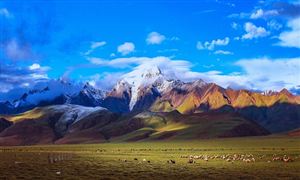 景區(qū)旅游行業(yè)市場分析2022