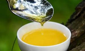 茶油行業(yè)市場規(guī)模分析 云南省油茶產(chǎn)業(yè)發(fā)展現(xiàn)狀