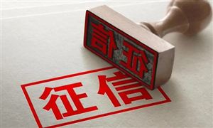 征信服務(wù)行業(yè)市場調(diào)研2022