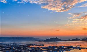 中國合成氨行業(yè)市場調(diào)研 市場未來走勢將向資源地轉(zhuǎn)移