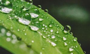 自然教育行業(yè)發(fā)展?jié)摿?自然教育行業(yè)投資戰(zhàn)略規(guī)劃