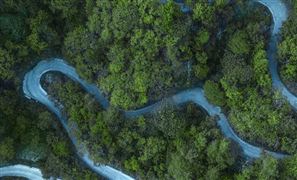 森林旅游市場全面調研 森林旅游市場需求特性分析