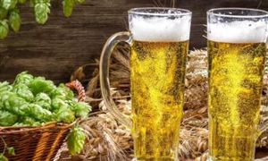 2022年中國啤酒行業(yè)投資現(xiàn)狀前景分析