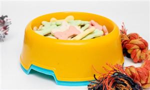 預(yù)計(jì)2022年我國(guó)寵物食品市場(chǎng)規(guī)模將達(dá)1508億元 寵物食品行業(yè)市場(chǎng)投資趨勢(shì)分析?