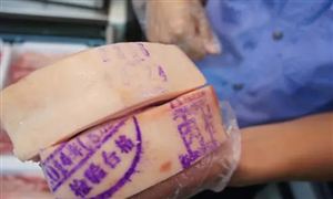 深圳肉品檢疫證明進(jìn)入電子時代 2022年中國云服務(wù)行業(yè)現(xiàn)狀及市場規(guī)模分析