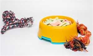 寵物食品產(chǎn)業(yè)規(guī)模擴大 中國寵物食品行業(yè)發(fā)展前景預測