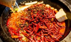 中國火鍋底料行業(yè)市場現(xiàn)狀及未來發(fā)展方向分析2022