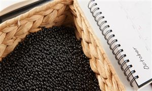 預計2025年我國活性炭產(chǎn)量將接近100萬噸  活性碳行業(yè)深度分析2022