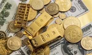 2022中國普惠金融行業(yè)市場全景調研與發(fā)展前景預測