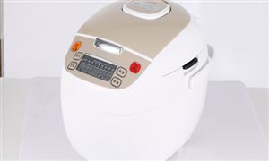 電飯鍋行業(yè)分析 電飯鍋行業(yè)市場研及未來前景分析2022
