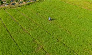 2022種植業(yè)行業(yè)深度分析及種植業(yè)行業(yè)發(fā)展現(xiàn)狀分析