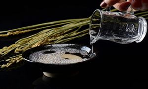 未來(lái)酒業(yè)經(jīng)濟(jì)會(huì)穩(wěn)中求進(jìn) 保持穩(wěn)健增長(zhǎng)是大趨勢(shì) 白酒行業(yè)發(fā)展規(guī)劃分析