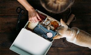 狂犬疫苗產業(yè)深度調研 2022狂犬疫苗產業(yè)發(fā)展現(xiàn)狀分析報告