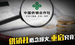 供銷社概念股爆紅 供銷社到底是什么？供銷合作社發(fā)展現(xiàn)狀及市場規(guī)模分析