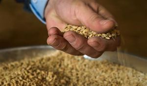 2022糧食倉儲行業(yè)發(fā)展現(xiàn)狀分析 全國糧食市場整體運行穩(wěn)定