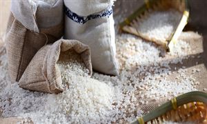 行業(yè)調(diào)研分析 大米市場(chǎng)運(yùn)行情況總結(jié)2022