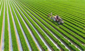 到2025年水稻種植機(jī)械化率達(dá)到65% 種植機(jī)械行業(yè)發(fā)展分析