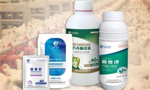 中獸藥行業(yè)全景調(diào)研 中獸藥市場投資機遇及規(guī)模預(yù)測