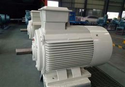 2022高效節(jié)能電機(jī)的發(fā)展現(xiàn)狀與趨勢(shì)研究