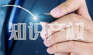 中國2021年專利數(shù)全球最高 知識產(chǎn)權(quán)代理市場調(diào)研