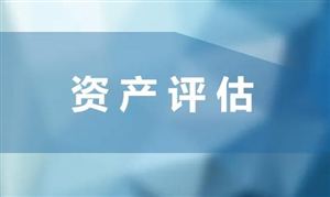 資產(chǎn)評估產(chǎn)業(yè)鏈 資產(chǎn)評估產(chǎn)業(yè)發(fā)展規(guī)模及投資機遇
