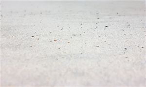 中國硅砂(石英砂)行業(yè)市場專項調(diào)研及競爭戰(zhàn)略分析報告2022