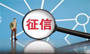 征信行業(yè)發(fā)展環(huán)境 征信行業(yè)市場(chǎng)容量及發(fā)展格局