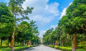中國(guó)陵園墓地產(chǎn)業(yè)鏈發(fā)展現(xiàn)狀 陵園墓地行業(yè)市場(chǎng)發(fā)展空間分析