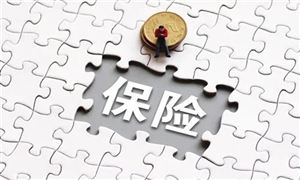 年內(nèi)險(xiǎn)企分支機(jī)構(gòu)凈退出超2200家 人身險(xiǎn)機(jī)構(gòu)占比約七成