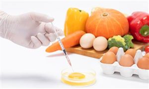 食品安全行業(yè)調(diào)研 2023全球及中國食品安全行業(yè)發(fā)展現(xiàn)狀分析
