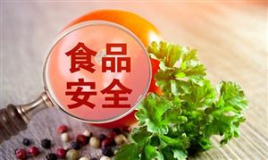 食品安全行業(yè)發(fā)展展望 食品安全行業(yè)市場(chǎng)全景調(diào)研及發(fā)展建議