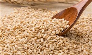 農業(yè)農村部：2022年糧食播種面積17.75億畝 比上年增加1052萬畝 糧食產量創(chuàng)歷史新高