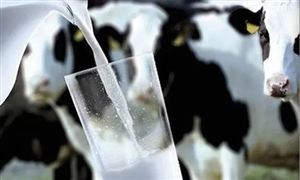 2023年我國(guó)乳制品行業(yè)市場(chǎng)將破5000億元 乳業(yè)未來市場(chǎng)走向分析