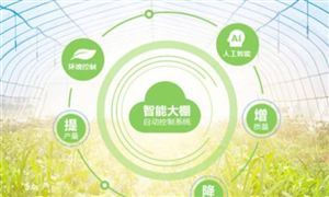 AI賦能智慧農(nóng)業(yè) 體力活成為技術(shù)活 智慧農(nóng)業(yè)行業(yè)市場深度分析及發(fā)展策略研究報告