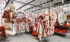 牛肉干行業(yè)現(xiàn)狀分析 牛肉干行業(yè)分析報告2023