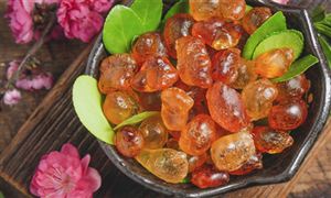 桃膠深加工現(xiàn)狀 桃膠行業(yè)發(fā)展前景分析