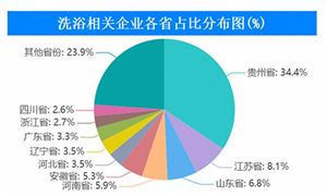 洗浴服務(wù)行業(yè)企業(yè)分布概覽 洗浴服務(wù)行業(yè)發(fā)展趨勢預(yù)測2023