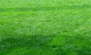 人造草坪行業(yè)品牌競爭格局 人造草坪行業(yè)分析2023